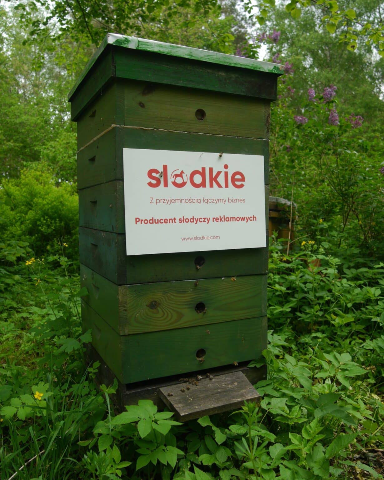 Slodkie.com Dzień pszczół